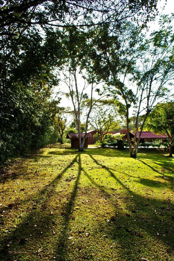Natural Lodge Cano Negro ภายนอก รูปภาพ