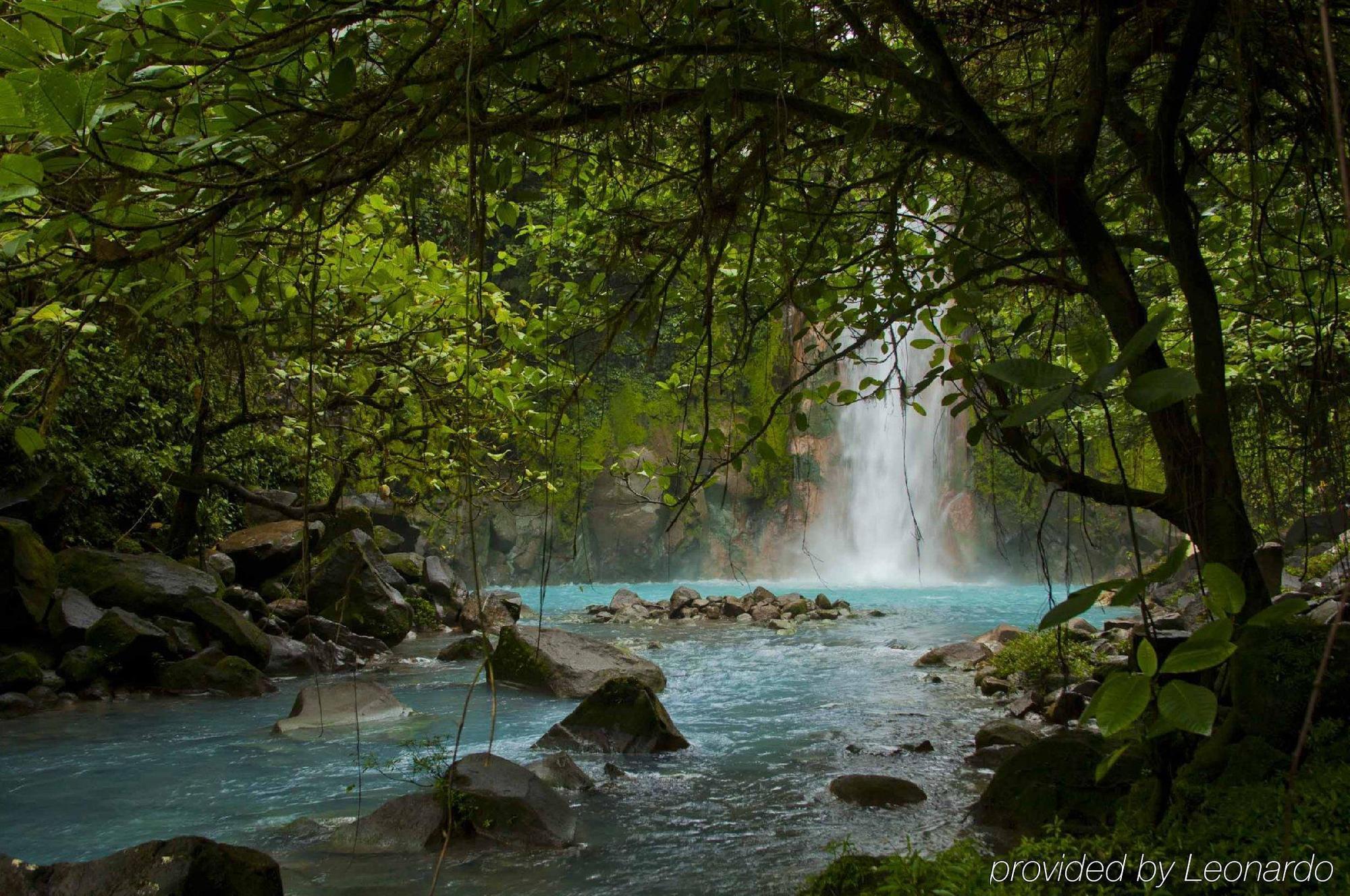 Natural Lodge Cano Negro ภายนอก รูปภาพ