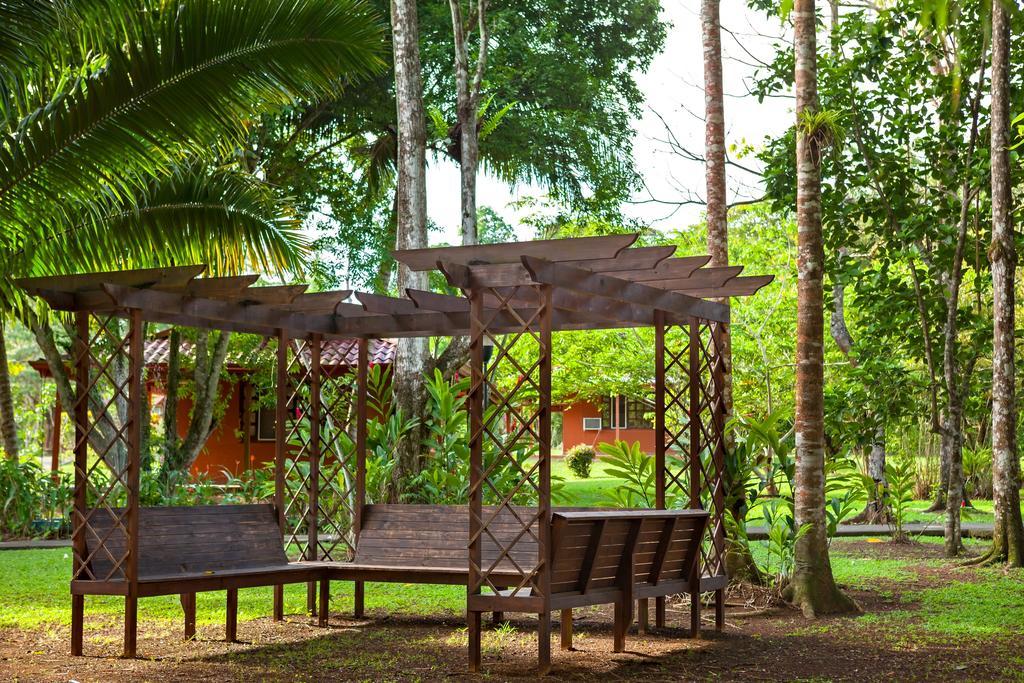 Natural Lodge Cano Negro ภายนอก รูปภาพ