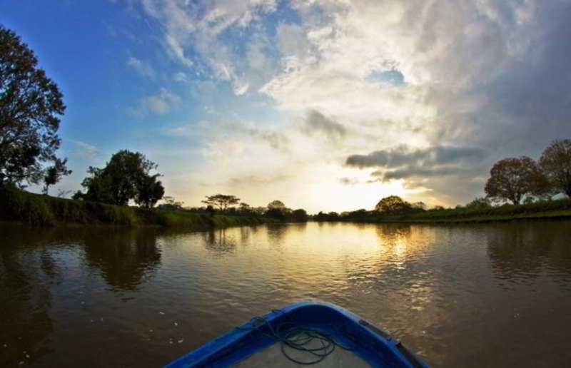Natural Lodge Cano Negro ภายนอก รูปภาพ