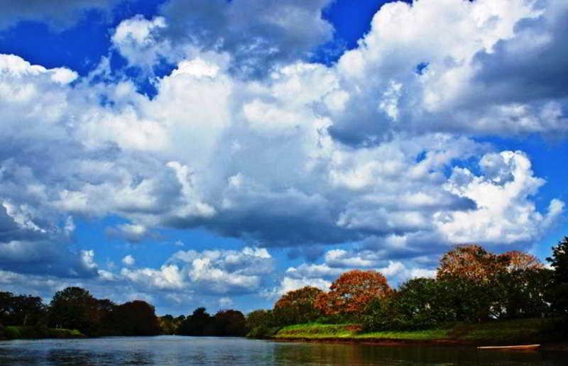 Natural Lodge Cano Negro ภายนอก รูปภาพ