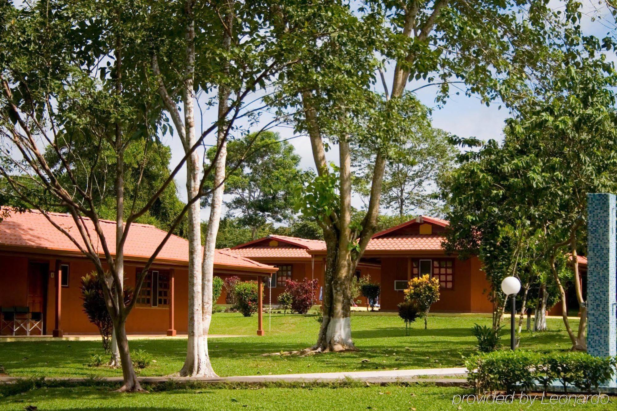 Natural Lodge Cano Negro ภายนอก รูปภาพ