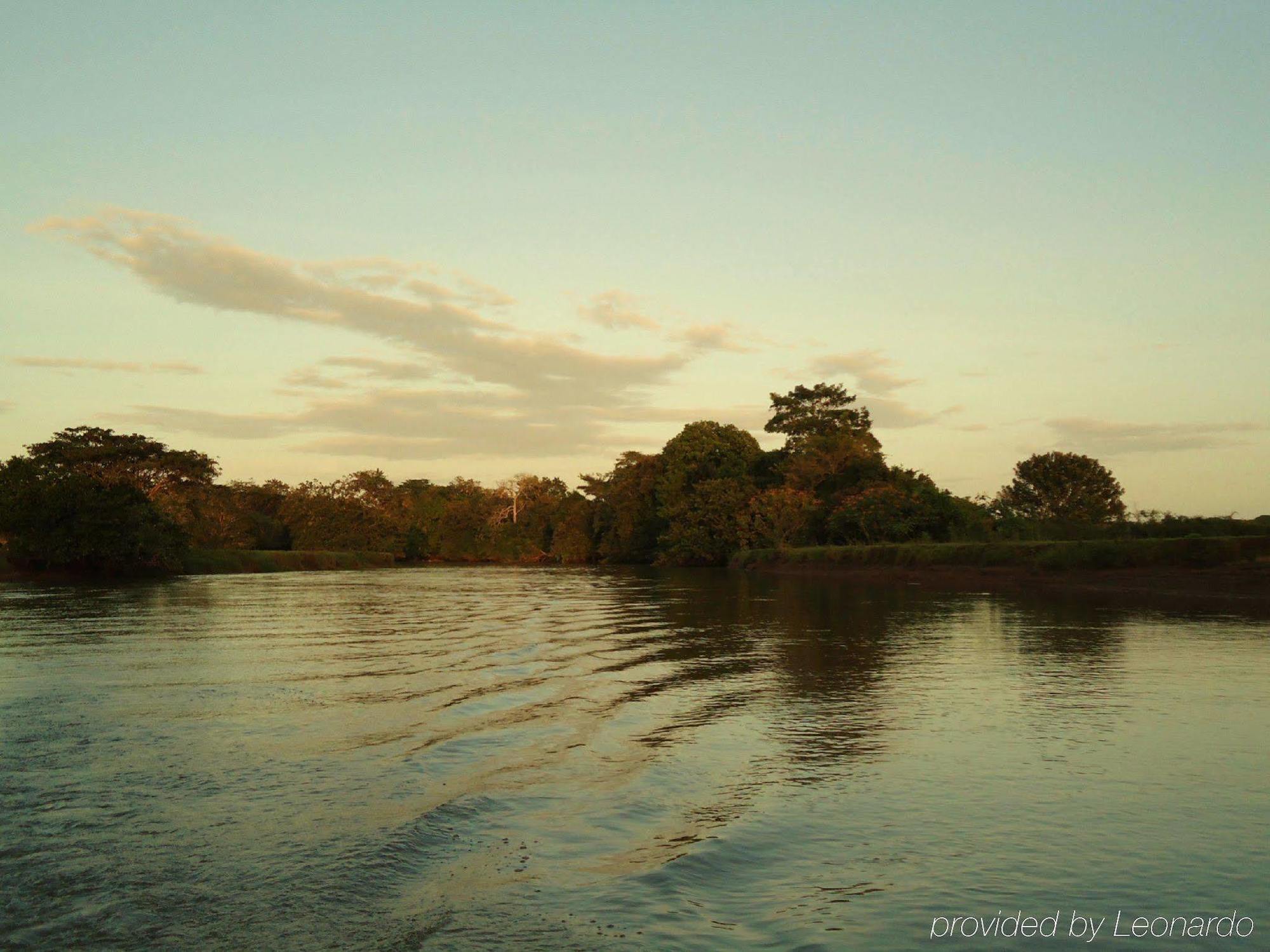 Natural Lodge Cano Negro ภายนอก รูปภาพ