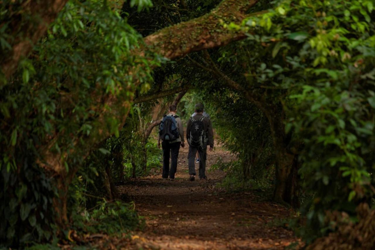 Natural Lodge Cano Negro ภายนอก รูปภาพ